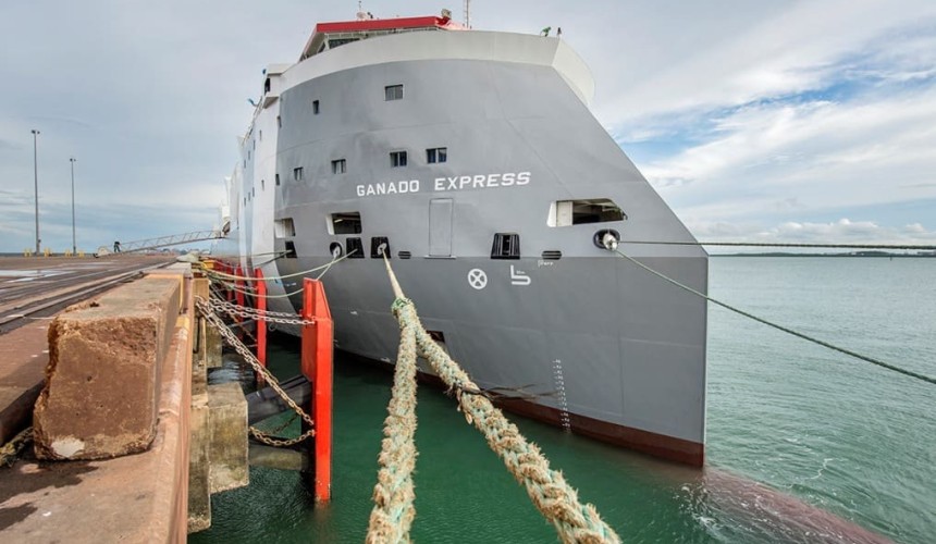 February live cattle export data shows reduced trade activity