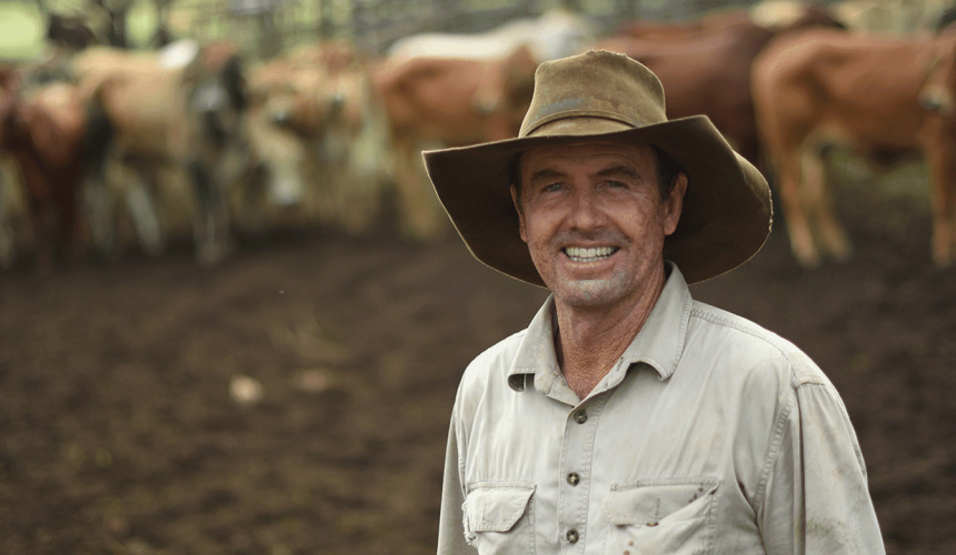 Genetic selection means environment ‘no longer dictates performance’