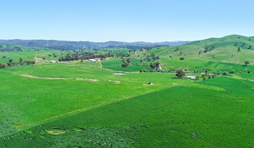 Movement at the Station: Recent property listings
