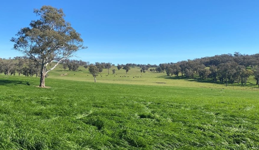Weekly property review: Recently completed sales