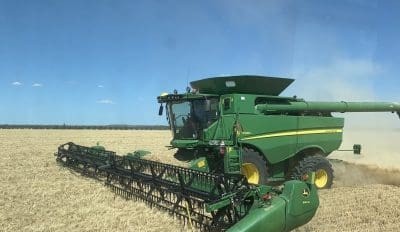 Feedgrain Focus: North drops, southern wheat firms