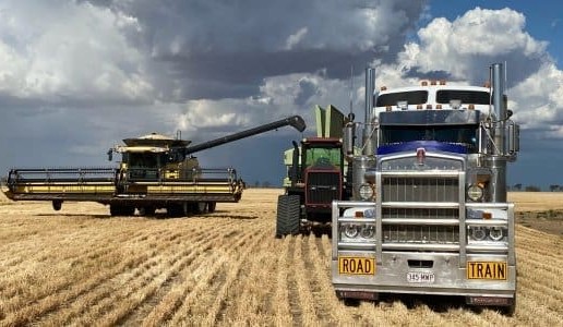 Feedgrain Focus: Wheat strengthens on limited grower selling