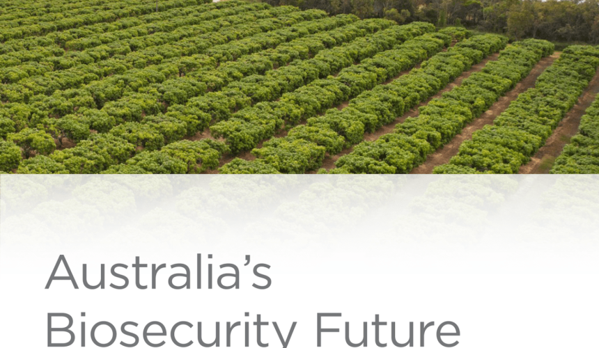 CSIRO report finds billion dollar industries at risk from biosecurity threats
