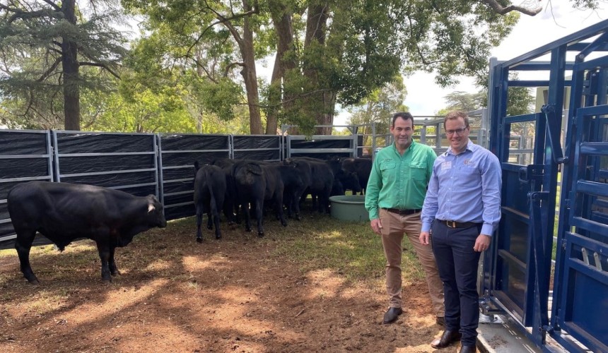 High steaks in Darling Downs Beef Battle