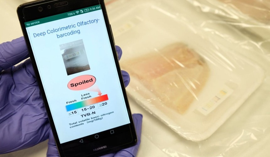 Scientists develop ‘electronic nose’ to sniff out meat freshness