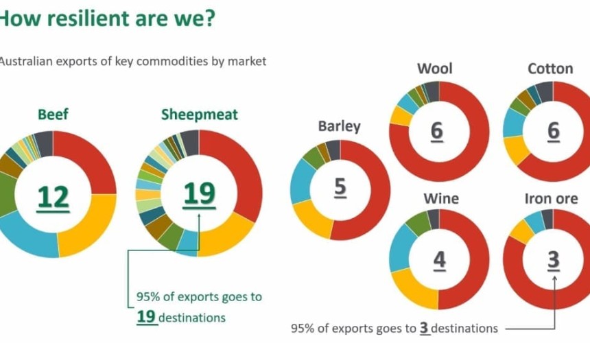 Market diversity underpins red meat’s resilience, webinar told