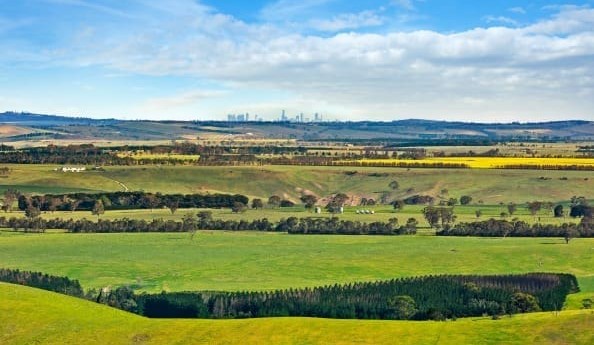 LAWD appoints ‘peri-urban’ property specialists