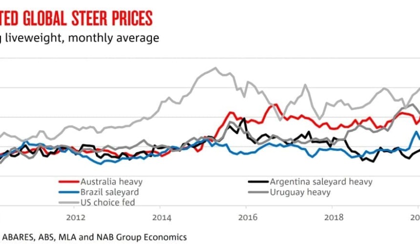 How high can cattle prices go? 1000c/kg EYCI ‘entirely possible,’ says NAB