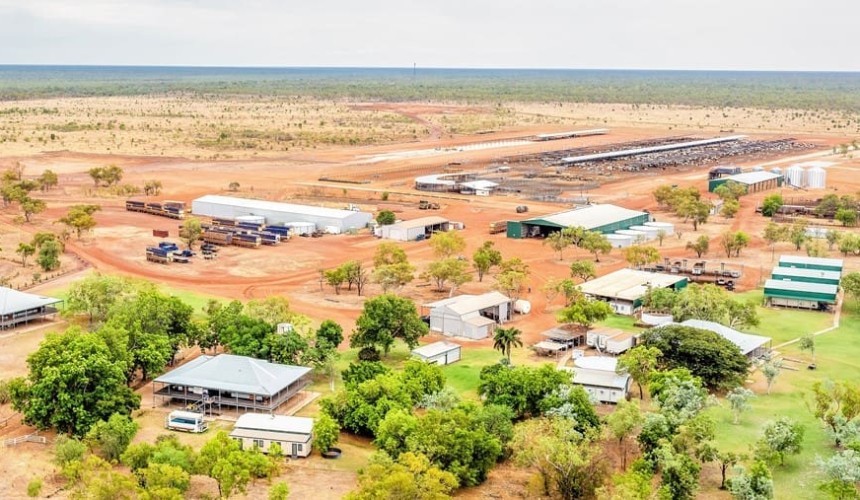 NT’s Maryfield and Limbunya make $175m, with carbon a factor