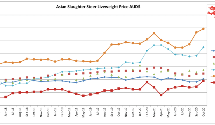 Laporan Pasar: Industri Daging Sapi Asia Tenggara – Oktober 2020