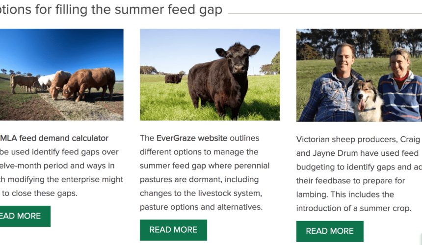 MLA summer and wet season resource hubs now online