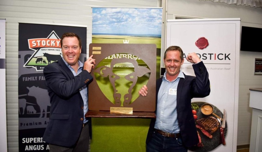 Stanbroke’s Diamantina wins 2020 Darling Downs Beef Battle