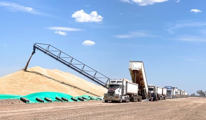 Feedgrain Focus: Truck squeeze, weather support prices