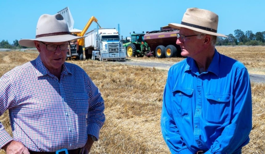 Farmers’ alert issued for non-melanoma skin cancer