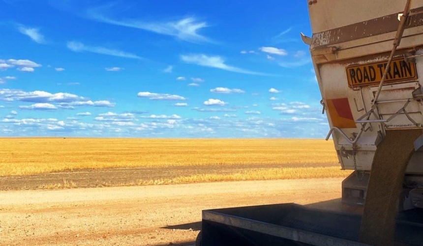Feedgrain Focus: Price moves mixed as harvest rolls south