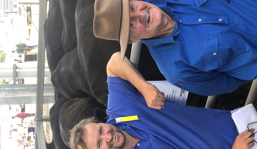 Murray Arnel at Euroa female sale: Joined heifers top at $3250