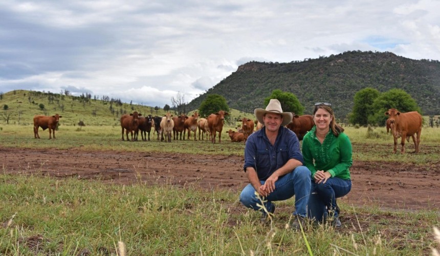 Gas-led recovery leaves farmers high and dry: New briefing paper