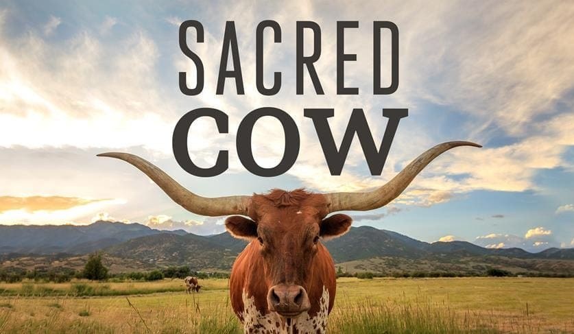 Virtual forum with Dr Frank Mitloehner and Sacred Cow director Diana Rodgers