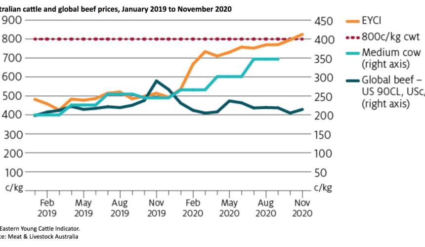 Cattle prices forecast to fall from record highs: ABARES