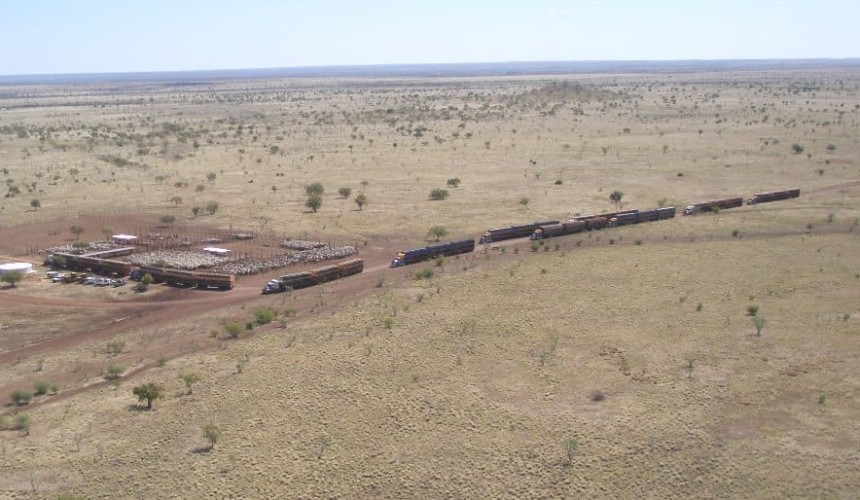 Beef Central’s beef quiz – January 2021
