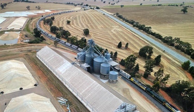 Feedgrain Focus: Market firms as trade covers