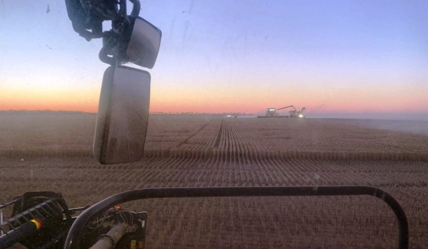Feedgrain Focus: Values buckle under supply-side pressure