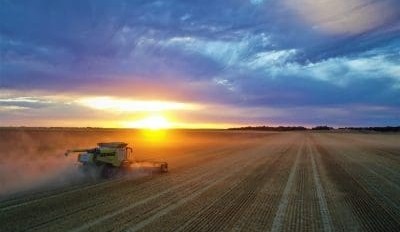 Feedgrain Focus: Wheat, barley spread narrows in thin market
