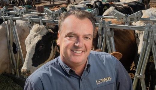 Fearless livestock emissions crusader to address Beef 2021 gathering
