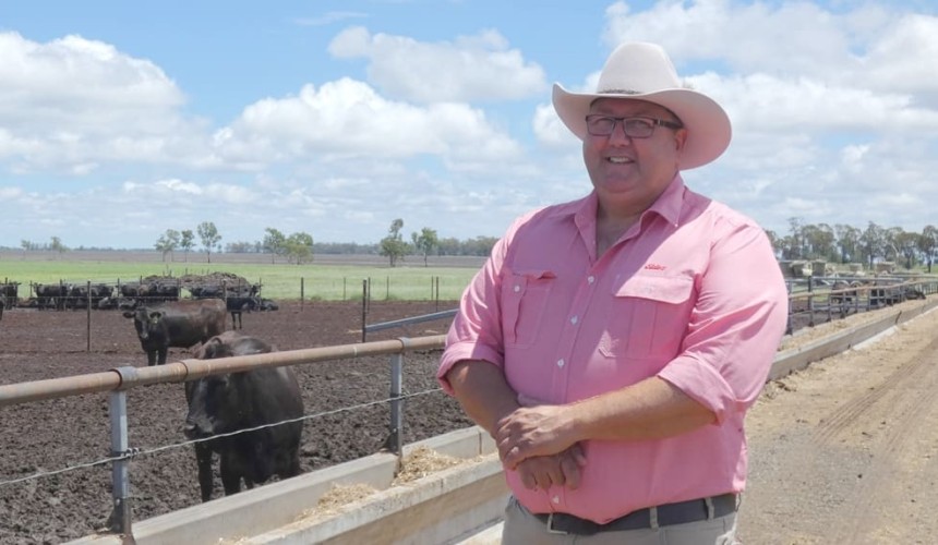 Elders enters Wagyu genetics market