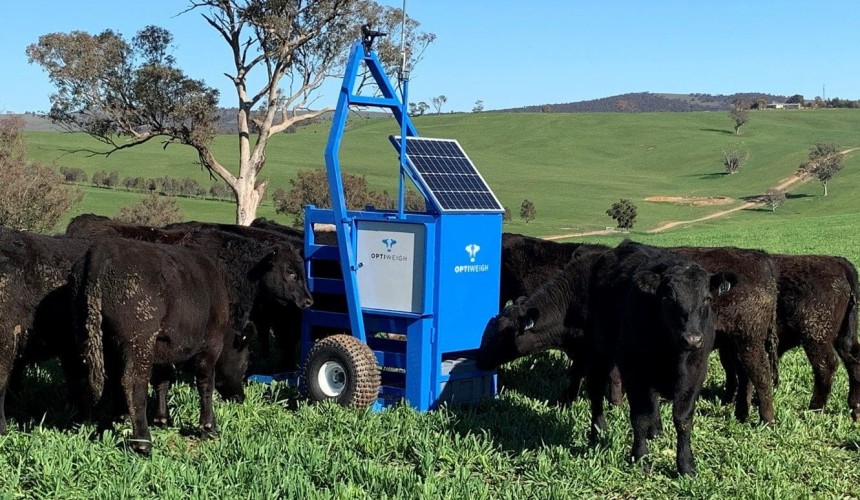 Paddock-ready technologies to shine in NSW ‘Big Tech, Big Ideas’ event
