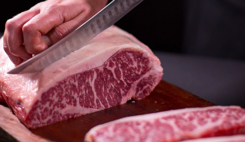 MSA research into ‘Wagyu effect’ and dairy beef cattle progresses