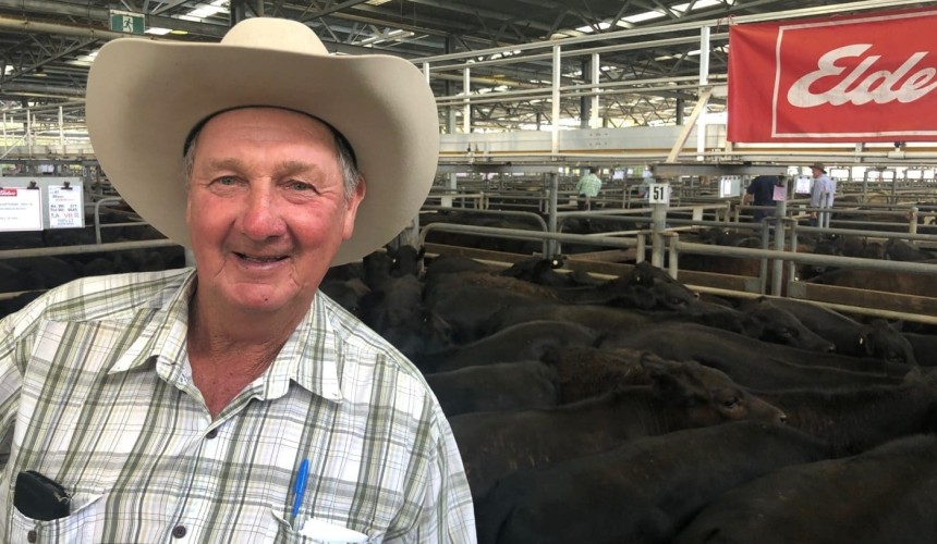 Angus weaners fly to $2200 at inaugural Wangaratta sale + VIDEO – Murray Arnel