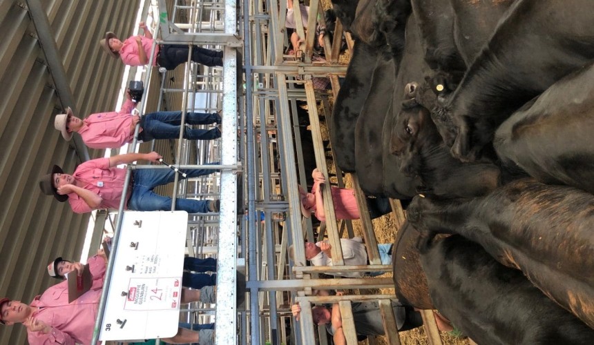Fear of missing out fuels red hot Wodonga sale