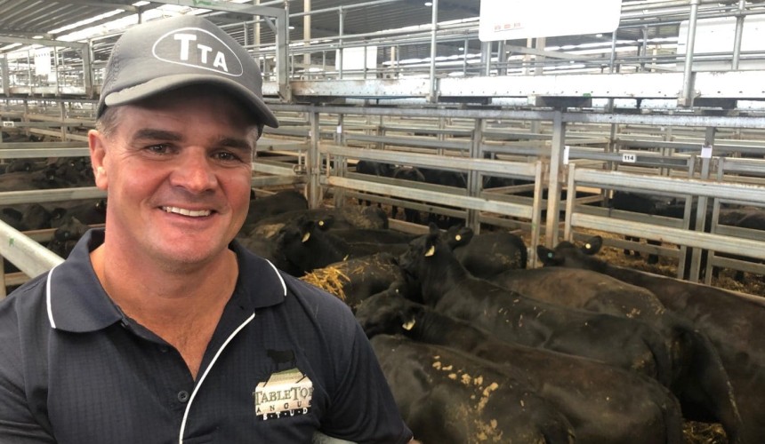 Wodonga Day 2: Northern appetite surges on black weaners + VIDEO – Murray Arnel