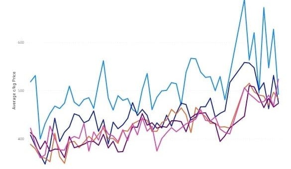 The fine art of risk: Why uncertainty is ag’s greatest advantage