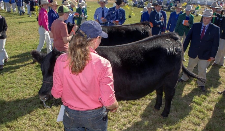 Applications open for Beef Australia 2021 Angus Scholarships