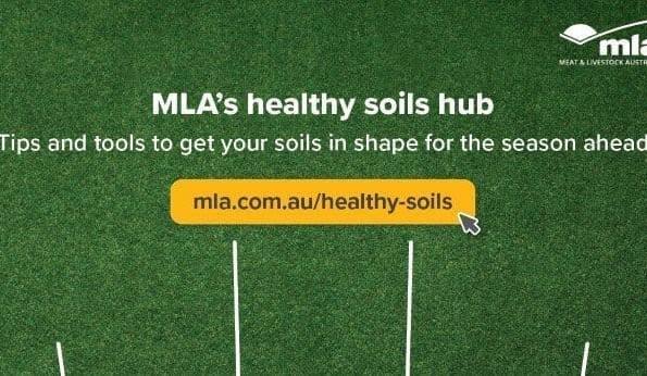 Online soils hub launched ahead of autumn sowing