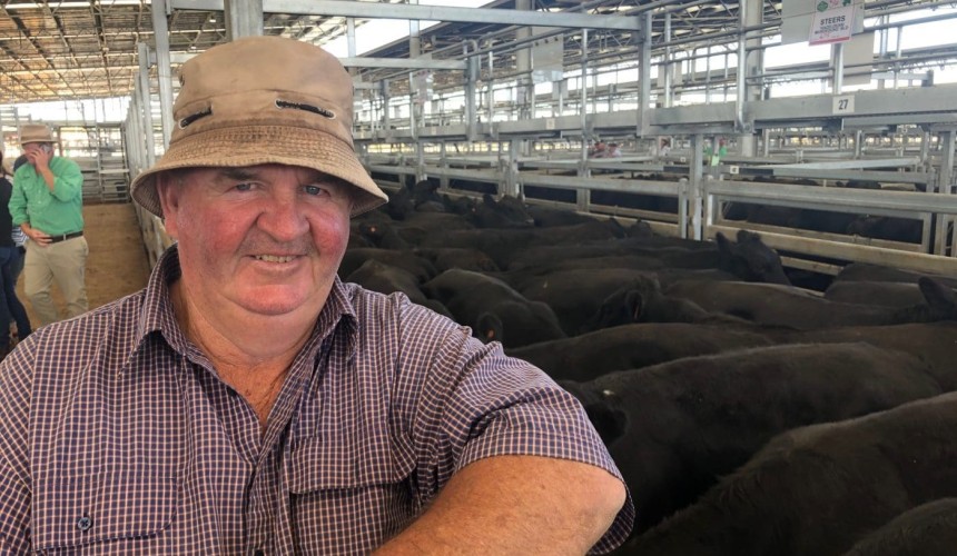 ‘Mind blowing’ Ballarat steer sale