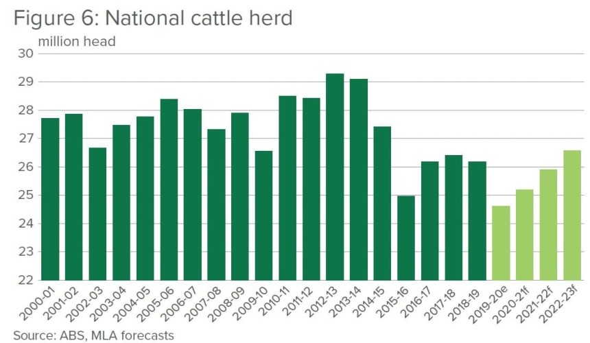 National herd rebuild underway following two years of drought-induced decline, says MLA Projections