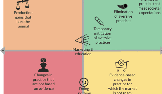 Animal welfare decision support tool developed for livestock producers