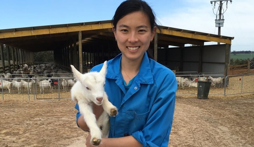 From silent, to severe: Q Fever research focusses on victim experience