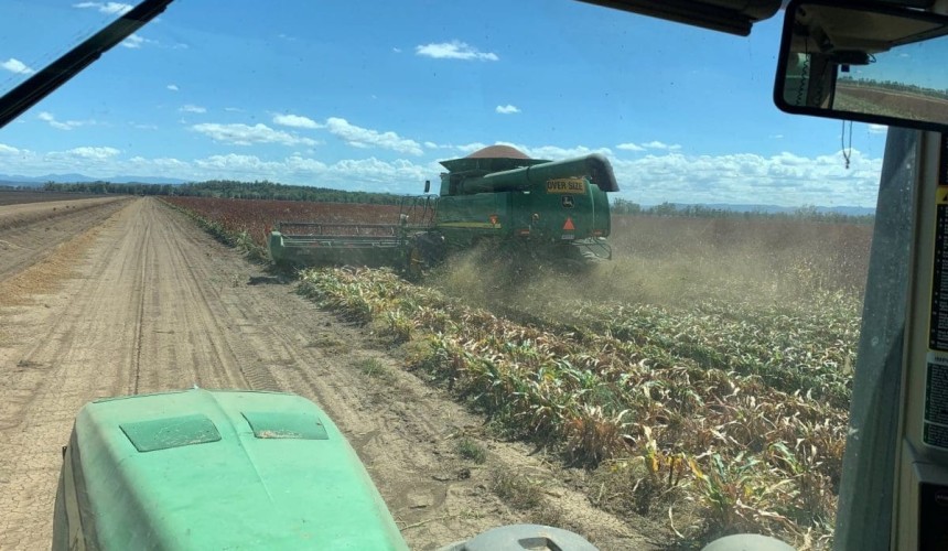 Feedgrain Focus: Supply pressure weighs on south