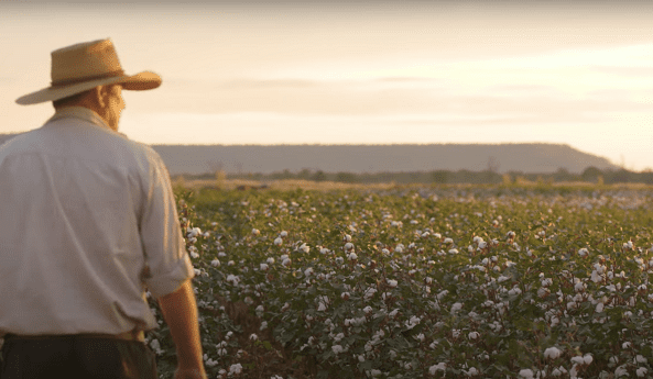Top-end cotton gin set to be up and running in 2022
