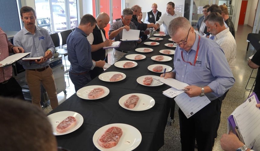 Wagyu branded beef competition reflects momentum in industry’s performance