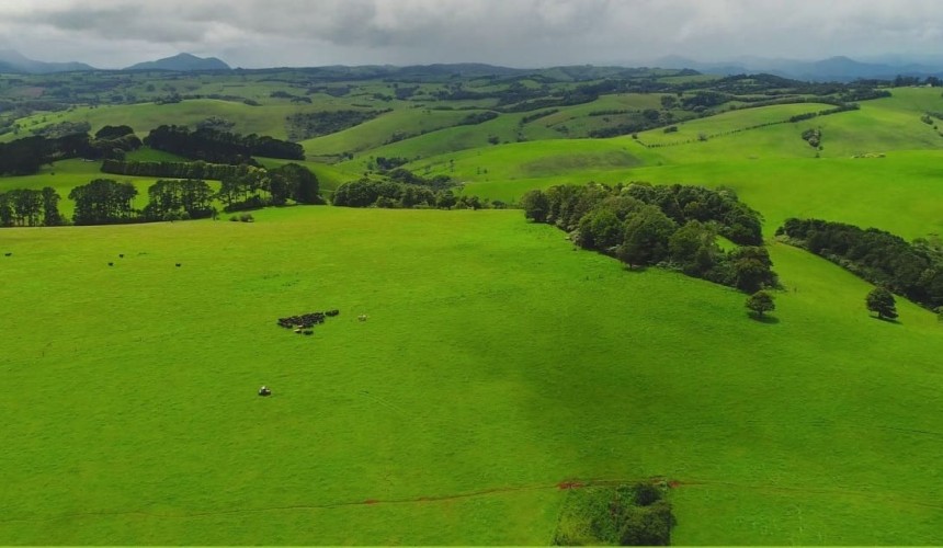 Dorrigo Plateau property market hot-spot
