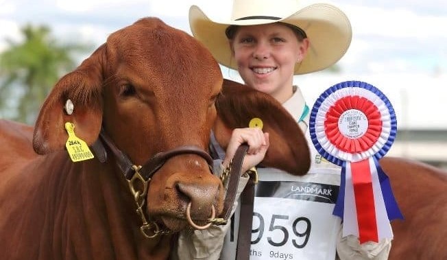 Droughtmasters offers bursaries for young stakeholders to attend Beef 2021