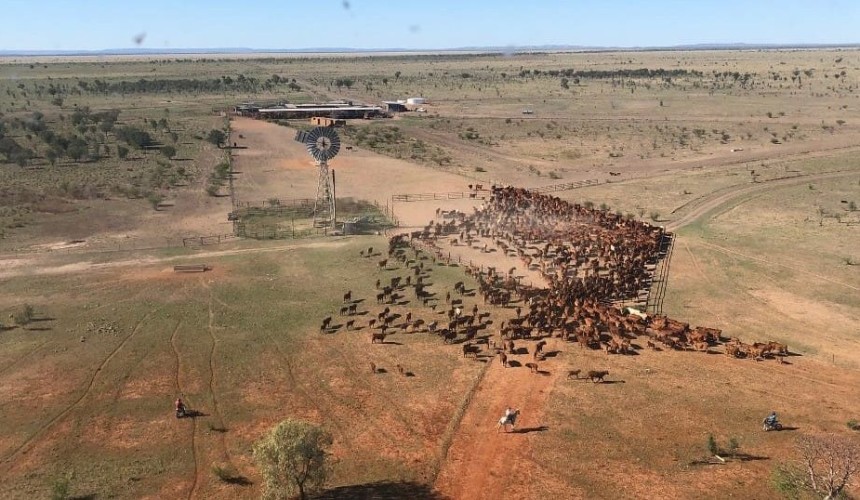 Hancock, Kidman property portfolio selldown continues