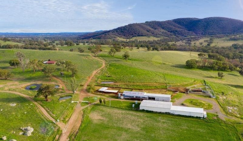Movement at the Station: Properties for sale