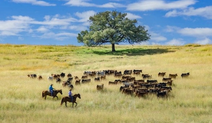 Fed Govt announces biodiversity credit scheme