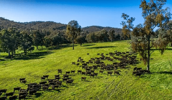 Movement at the Station: Recent property listings
